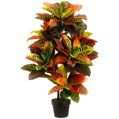"Silk  fern plant - Click here to View more details about this Product